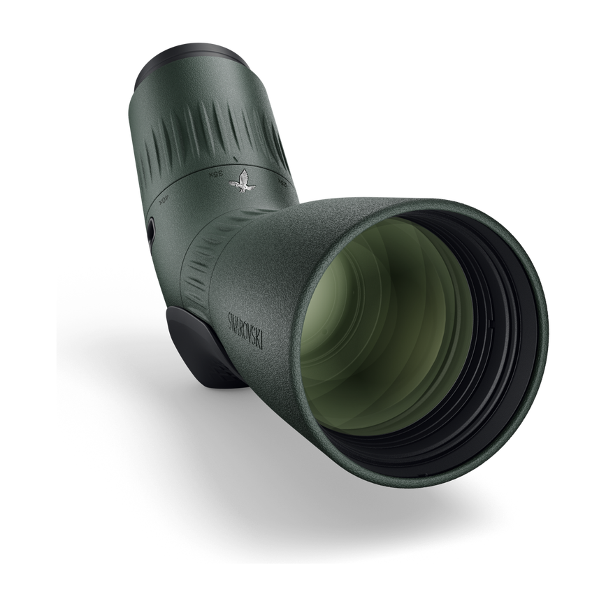 7ccjr71mvd8tib24napk9u-27f74e5416a88c081987c15bcdd07655-k21_03_atc_schraeg_06_rgb_green_small.png