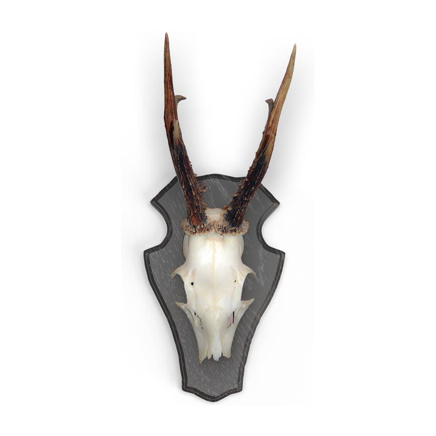 v-560803_2.png