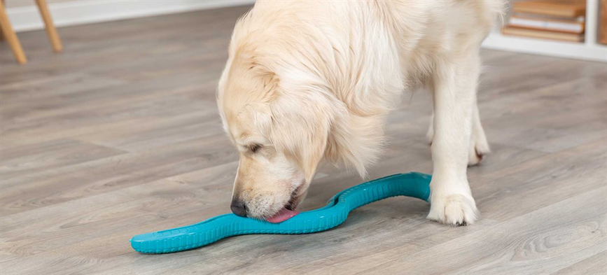 prod1000-dog_34932-4.png