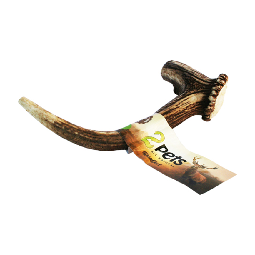 prod1000-175304_b.png