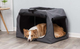 prod1000-pho_pro_dog_39731-39732-39733-2.png