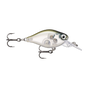 Ghost Shiner