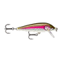 Artistic Rainbow Trout
