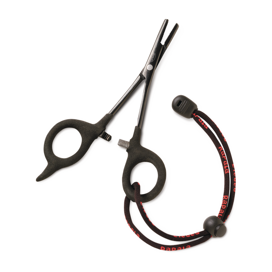 image-247222311749-image_r2brcj4g8d041eup28esh08417--s1536x2048-fpng-100896_swatch.png