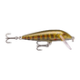 Gold Juvenile Trout