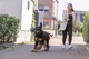 prod1000-34725_(1).png