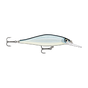Baby Aspius