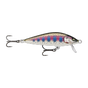Gilded Rainbow Trout