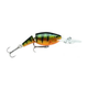api-2000x2000,fit-new-101323.png