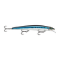Live Blue Sardine