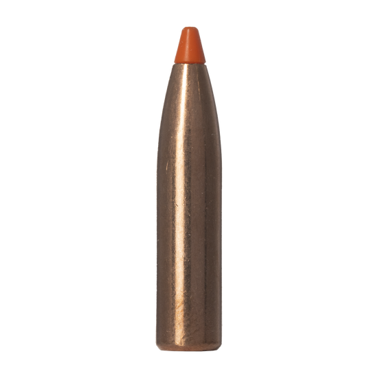 20677141-20677141-1.png