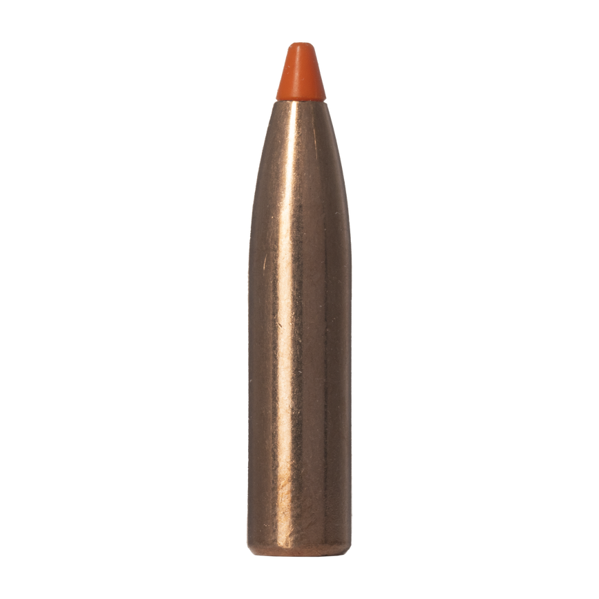 20677141-20677141-1.png