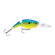 api-2000x2000,fit-new-101324.png