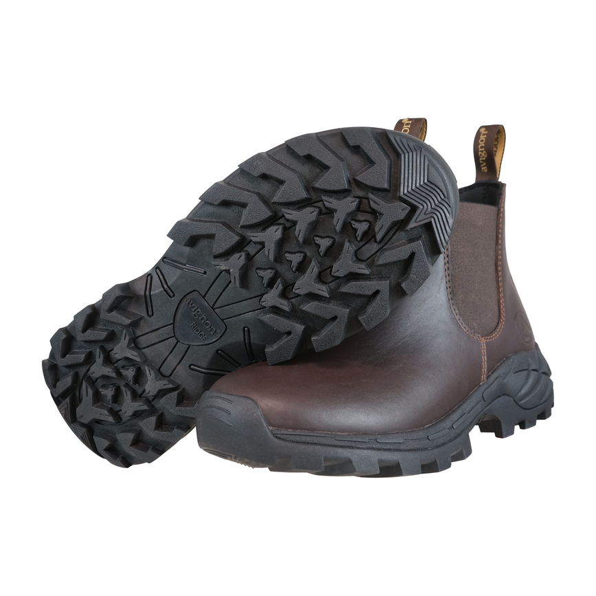 avignon_avignon_avignon-770-jodhpurs-coober-par.png