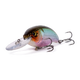 at203frwa050_2_the_fat_50_mm_rudd_wannabe.png