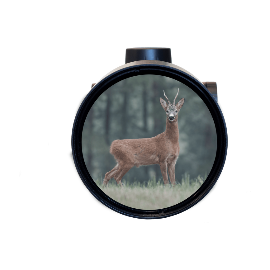 8f-82-93-1678180156-ranger_before_highcontrast.png