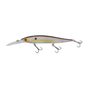 Sexy Shad