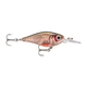 api-2000x2000,fit-new-153610.png