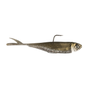 Tennessee Shad