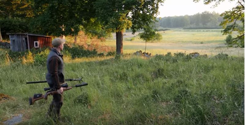 -sommarjaktpavildsvin.jpg