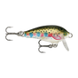 Rainbow Trout