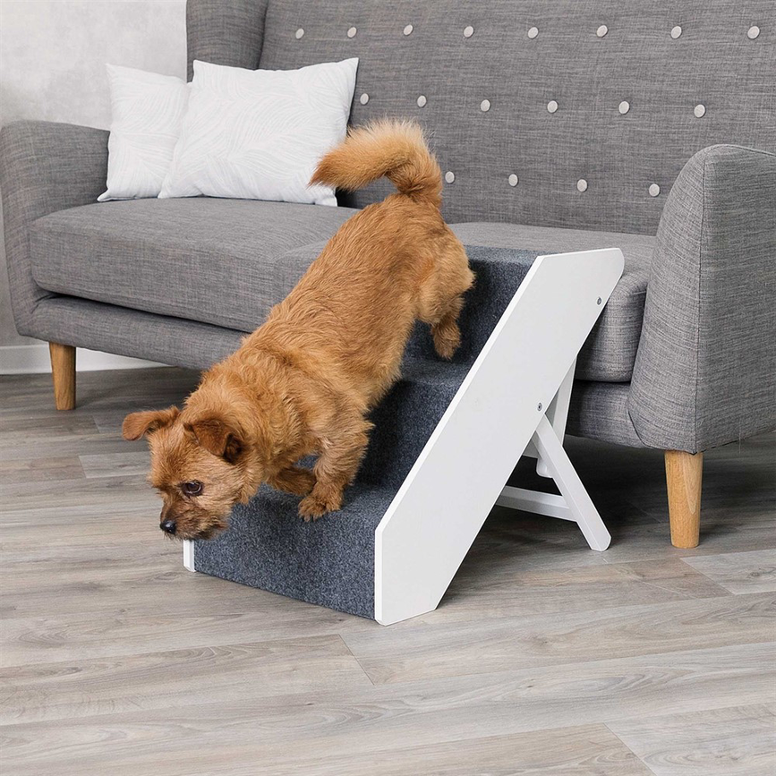 prod1000-dog_01-39488-1_.png