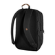 raven_28_23345-550-550_g_main_fjr.png