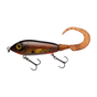 Crucian Carp
