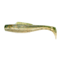 Redfish Toad