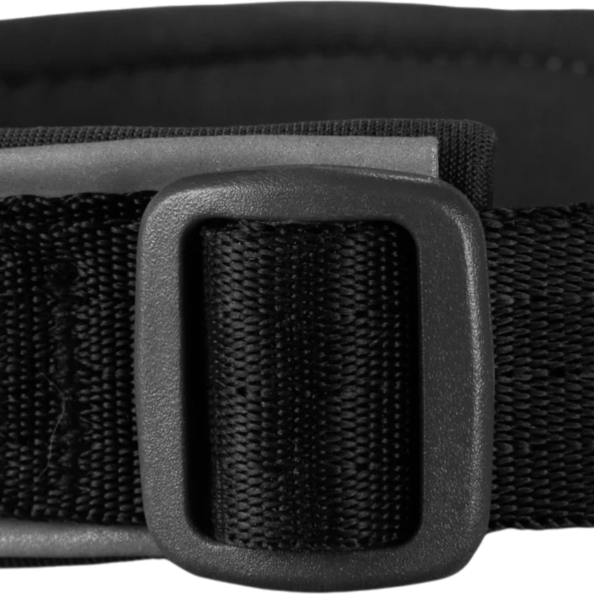 cdn-shop-files-roam_collar_feature_3.png