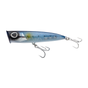 Sardine