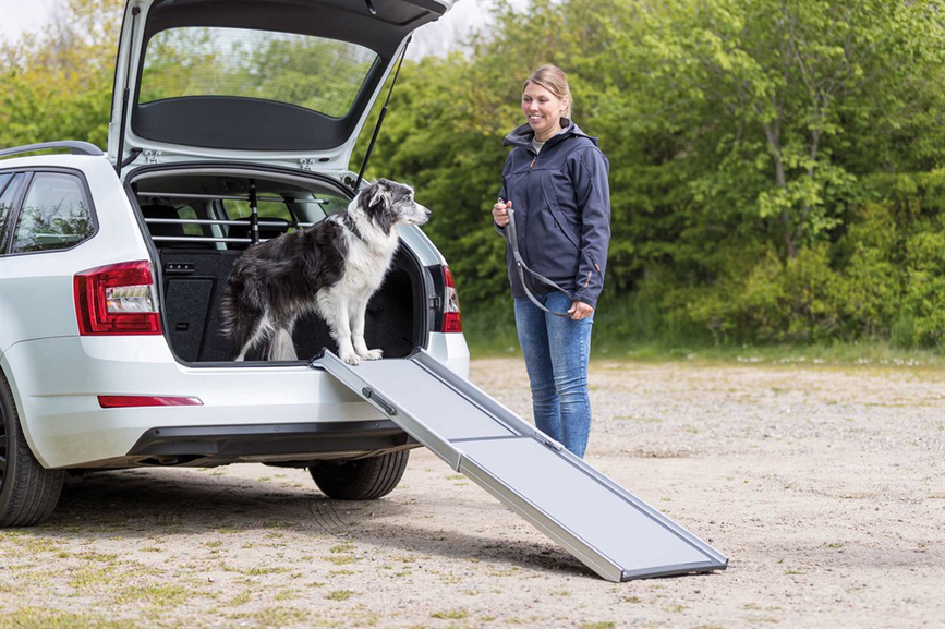 prod1000-image_dog_bordercollie-cooper-teleskoprampe-auto-5.png