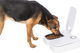 prod1000-clip_24372-1.png