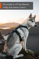 line_harness_5_0_setting_2.png