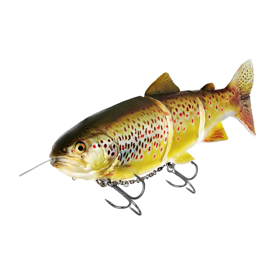6-fairpoint-public-pim-bc-940b7a54-e4f5-4fe5-ace9-583b4373f68d-p268_tommy-the-trout-inline_headline_large.png