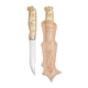 image-247222311749-image_luriscrp6l7h32u8p3kd3ac51b--s1536x2048-fpng-102849_swatch.png