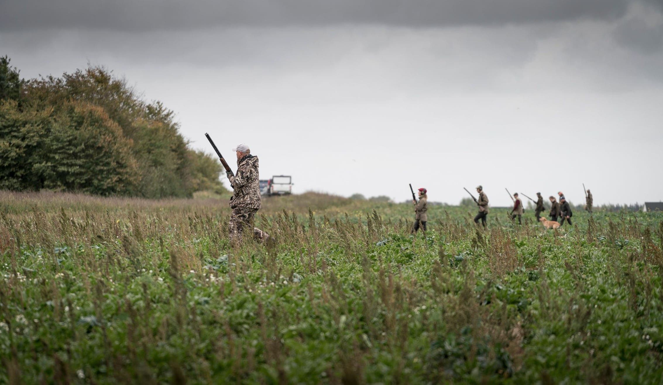 Fågeljakt Hagel Marki Hage