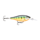 api-2000x2000,fit-new-146548.png