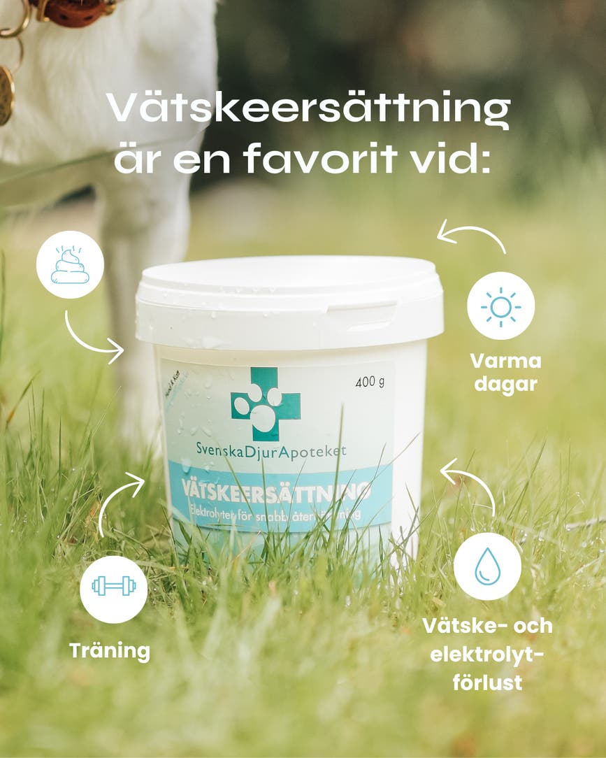 vatskeersattning_000bb653-219b-413e-bf00-0c548cadb376_2048x2048.png