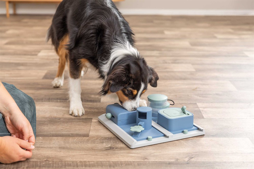 prod1000-dog_32013-3.png
