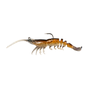 Brown Shrimp