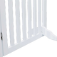 prod1000-det_clip_39363-1.png