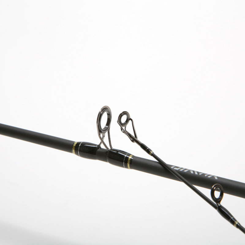 rods-001-jrs3066_goldcast-sub-sub01.png