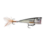 Live Roach