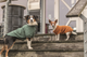 prod1000-680150-680159_(4).png