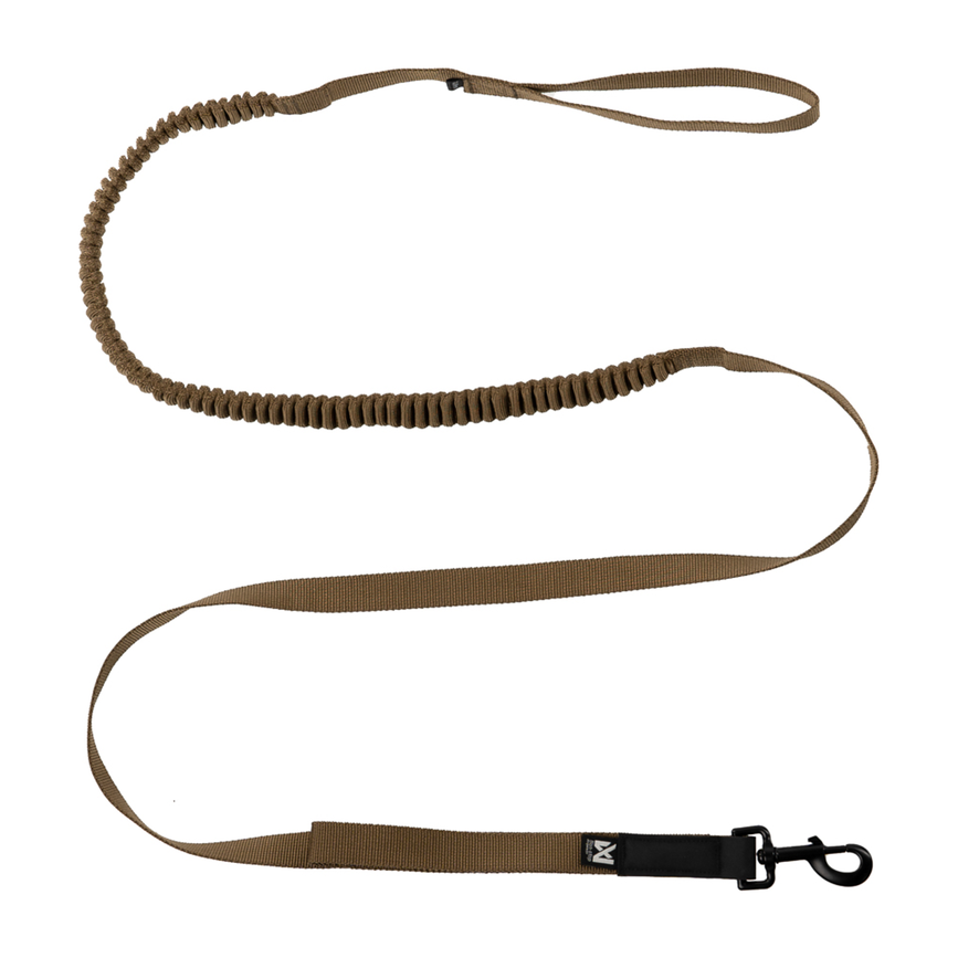 lsh-55008_02.png
