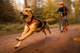 freemotion_harness_5_0_setting_1.png
