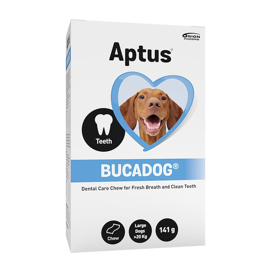 2019-11-aptus-bucadog-large.png