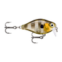 Glassy Gill UV