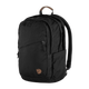 raven_28_23345-550_f_main_fjr.png